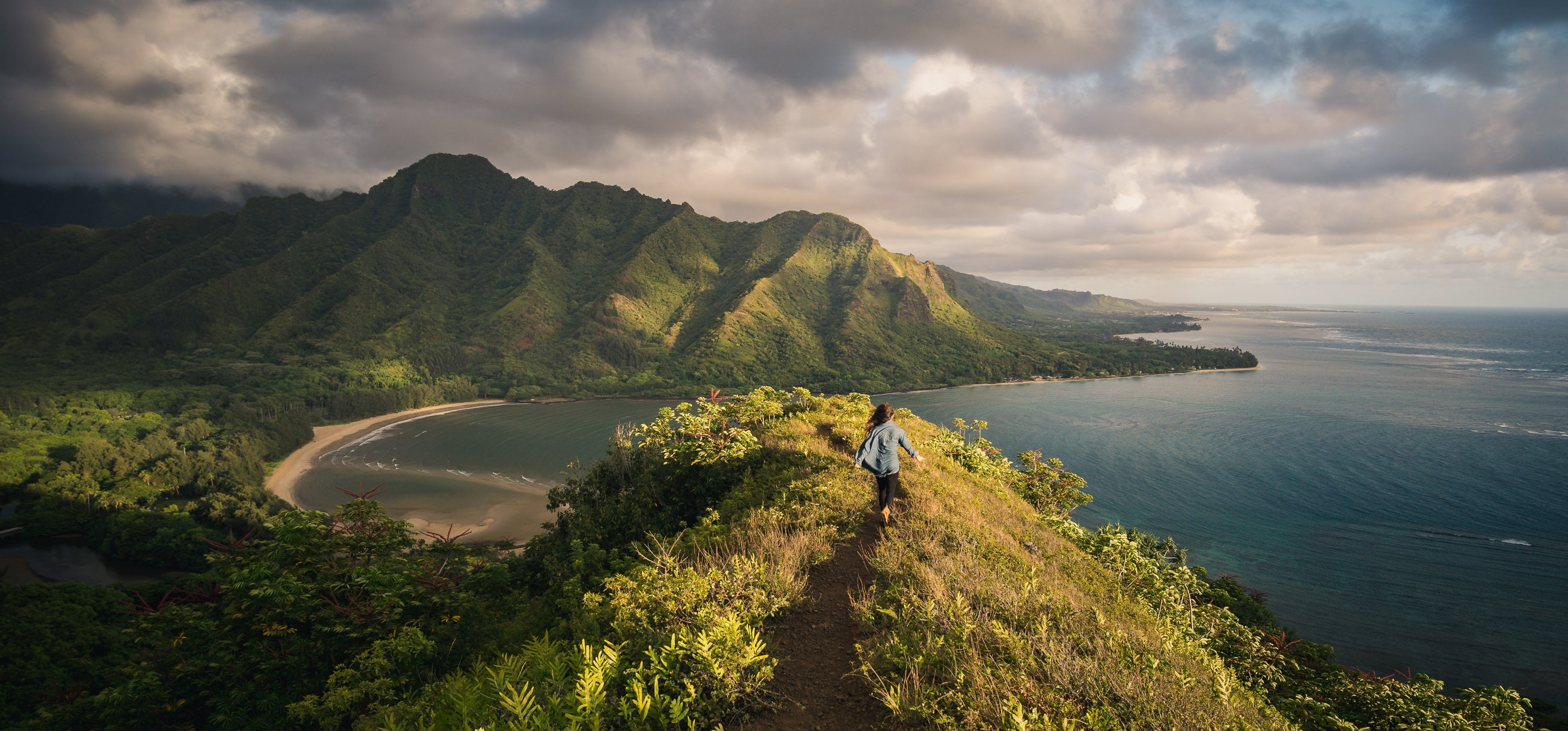 Adaptogens: Nature's Chill Pills or Just Another Trend?