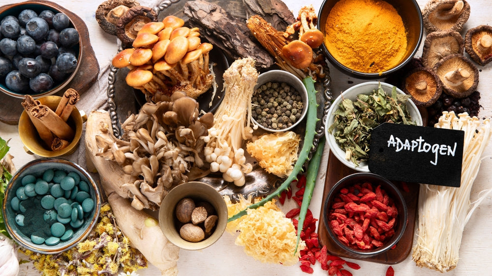 Why Adaptogens Are Trending